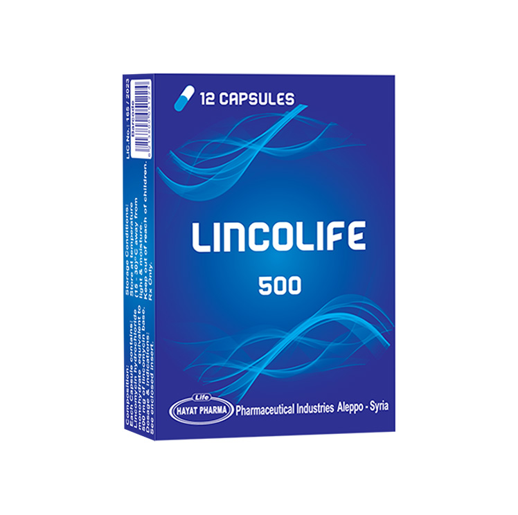 Lincolife 500